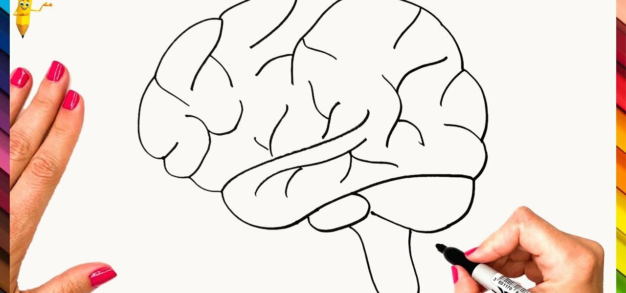 Brain Drawing