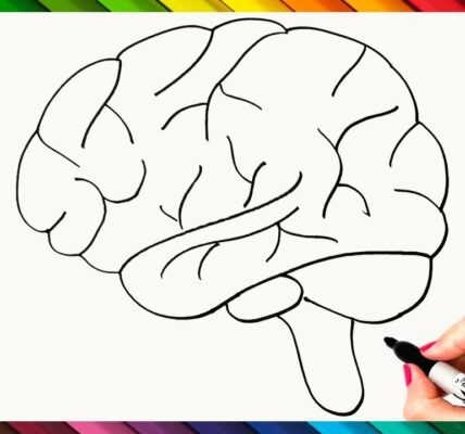 Brain Drawing