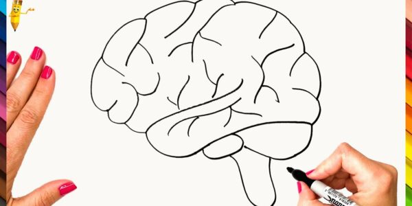 Brain Drawing