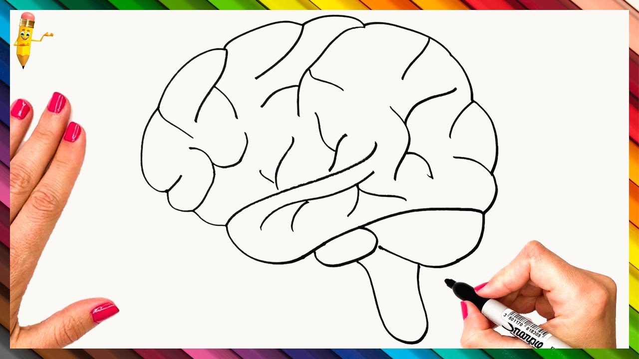 Brain Drawing